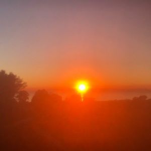 Meet your Posher, Larry